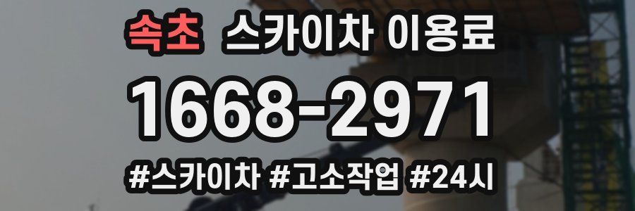 속초 스카이차 이용료
