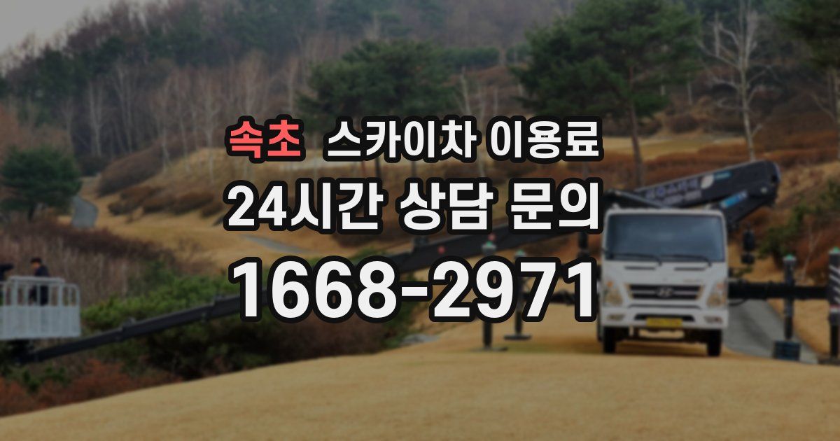 속초 스카이차 이용료