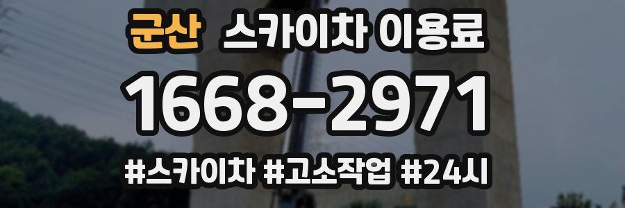 군산 스카이차 이용료
