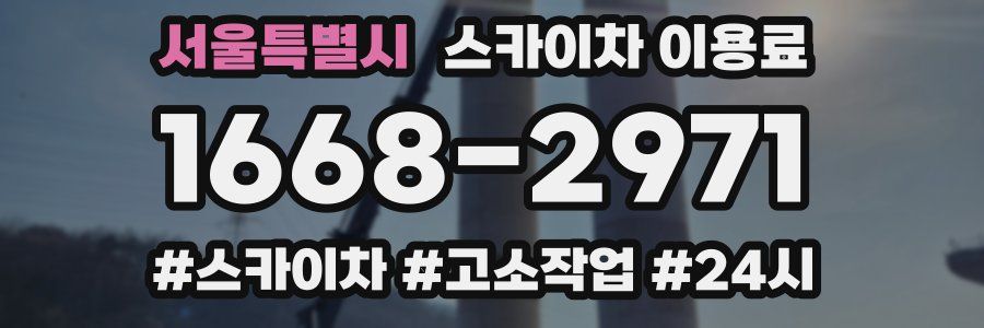 서울특별시 스카이차 이용료
