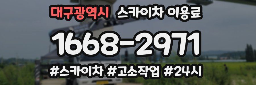 대구광역시 스카이차 이용료