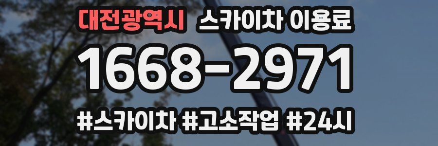 대전광역시 스카이차 이용료