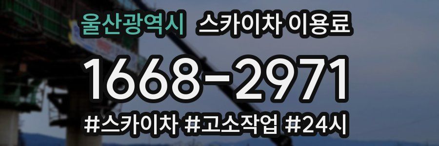 울산광역시 스카이차 이용료