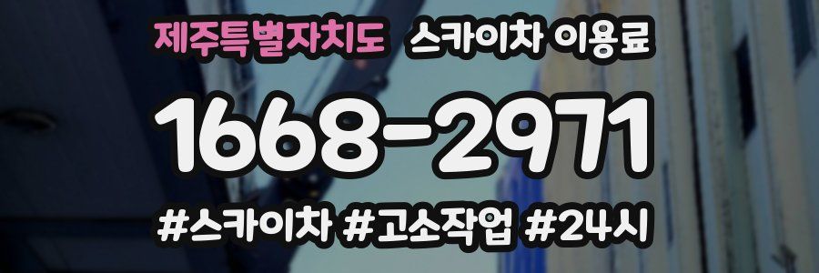제주특별자치도 스카이차 이용료