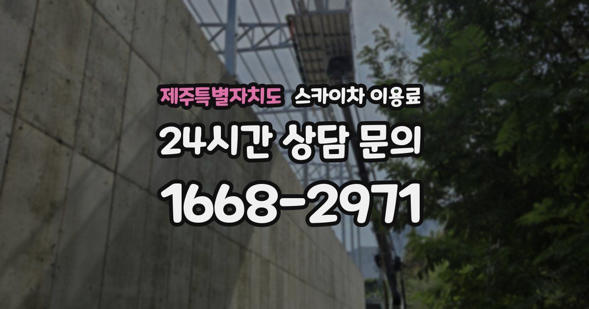 제주특별자치도 스카이차 이용료