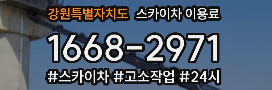 강원특별자치도 스카이차 이용료