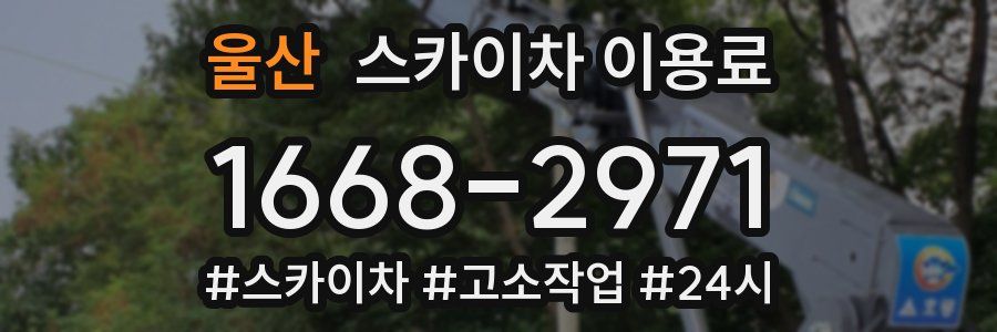 울산 스카이차 이용료