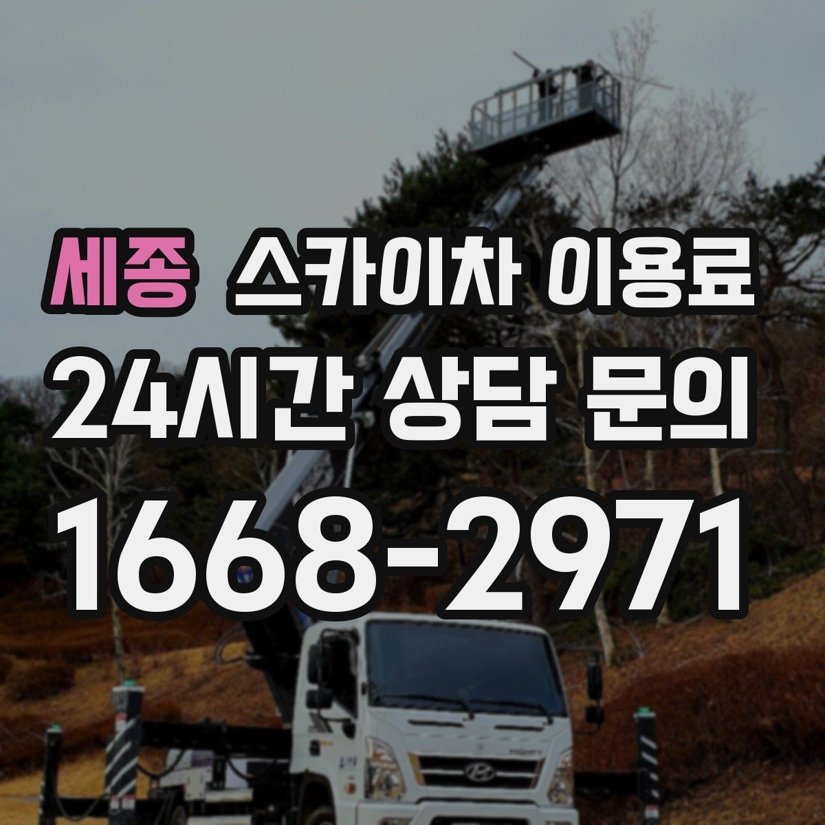 세종 스카이차 이용료 합리적으로 보는 방법