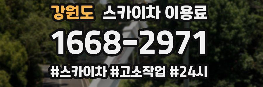 강원도 스카이차 이용료