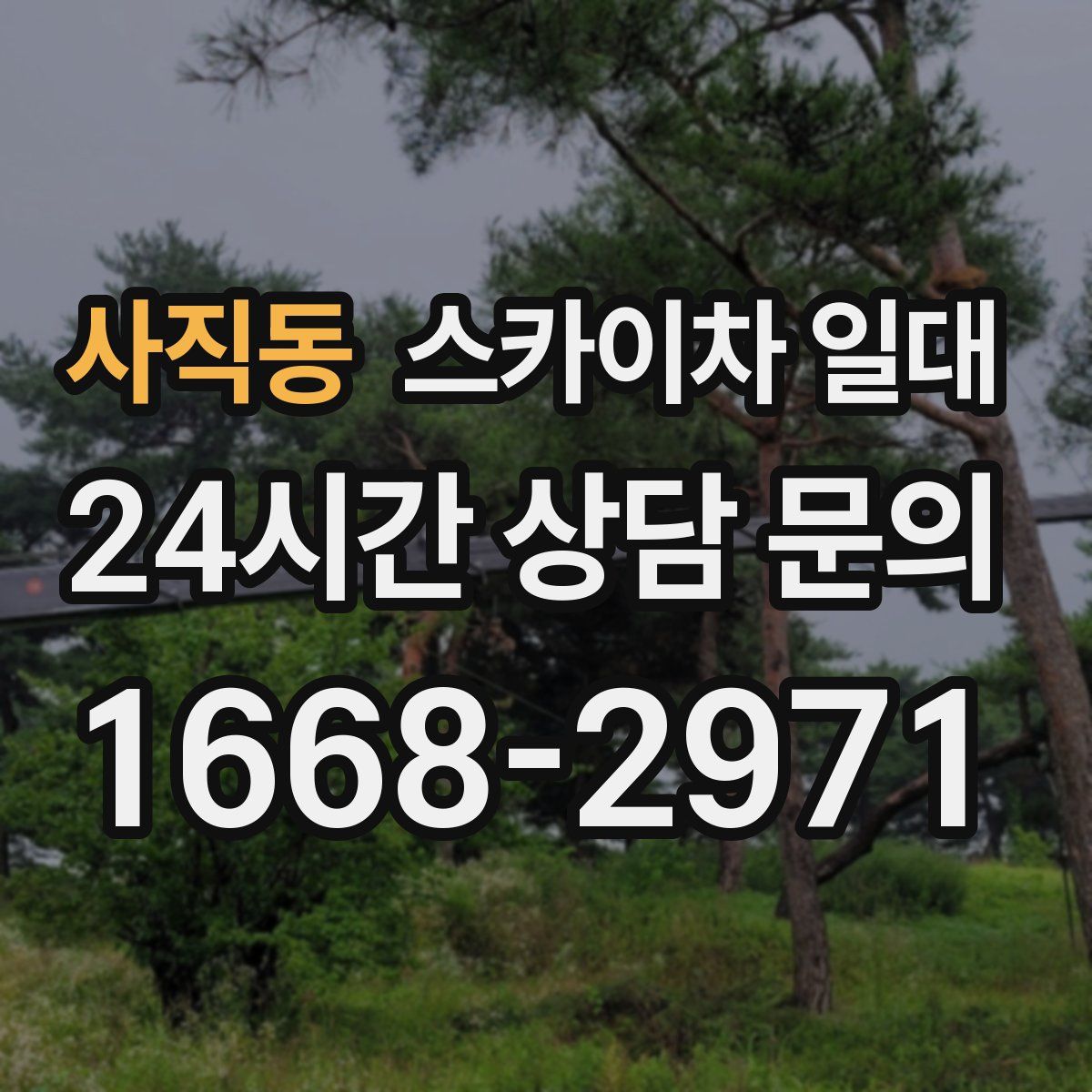 사직동 스카이차 일대