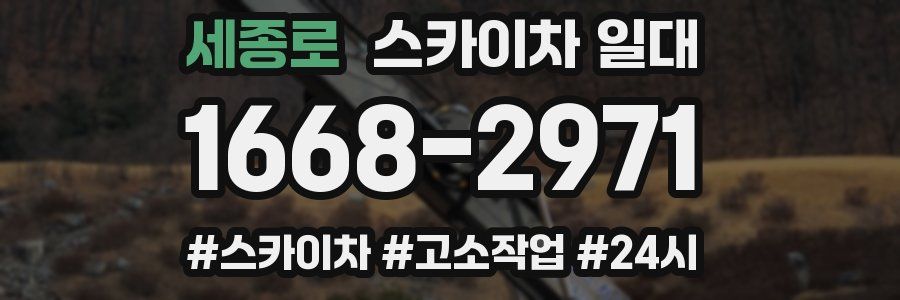 세종로 스카이차 일대