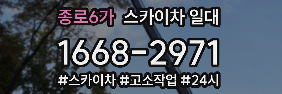 종로6가 스카이차 일대