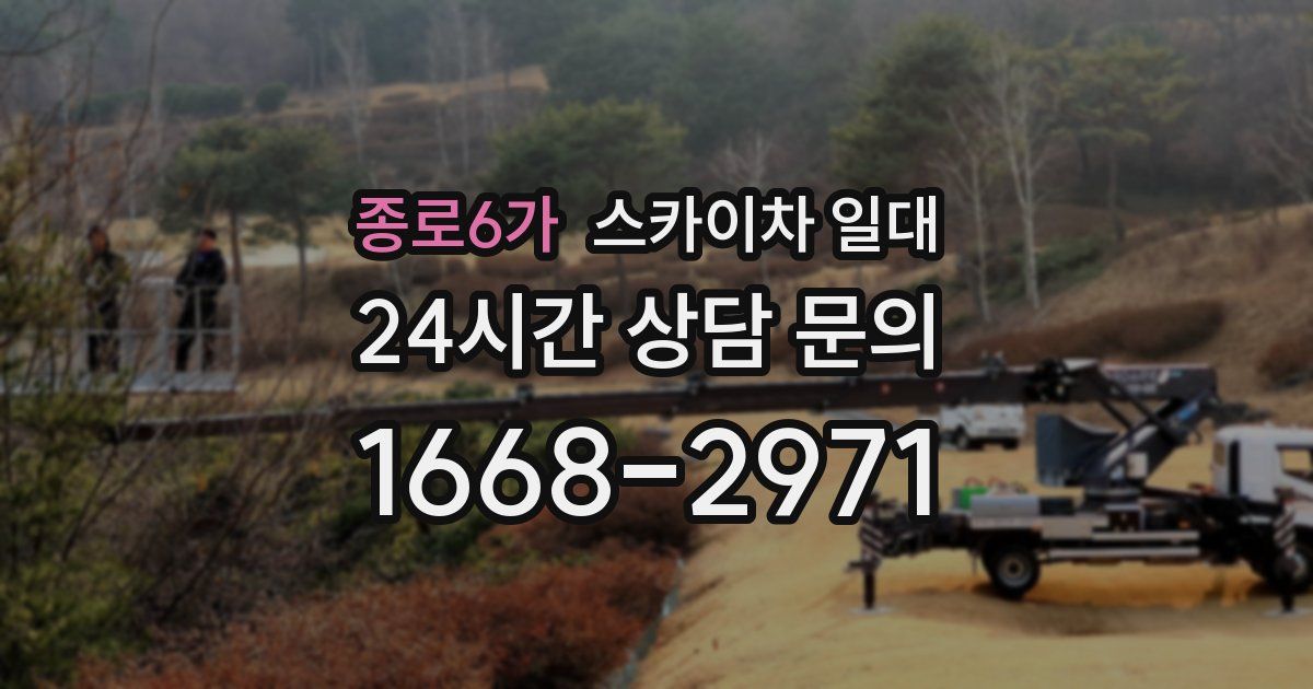 종로6가 스카이차 일대