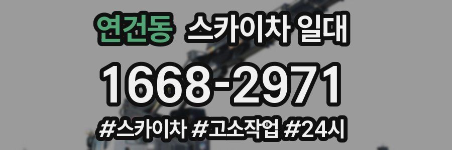 연건동 스카이차 일대