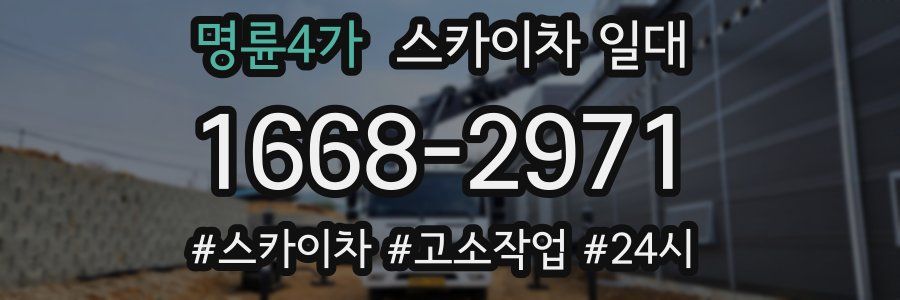 명륜4가 스카이차 일대