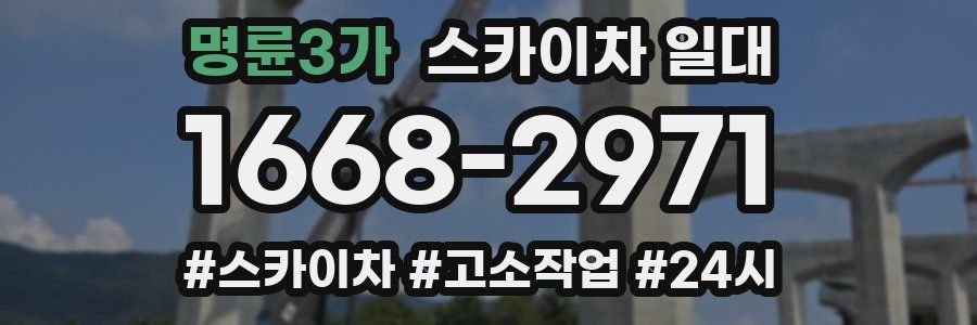 명륜3가 스카이차 일대