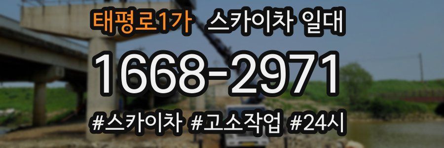 태평로1가 스카이차 일대
