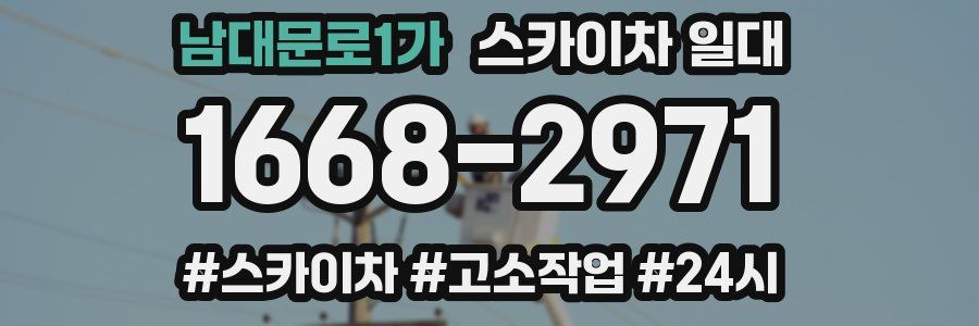 남대문로1가 스카이차 일대
