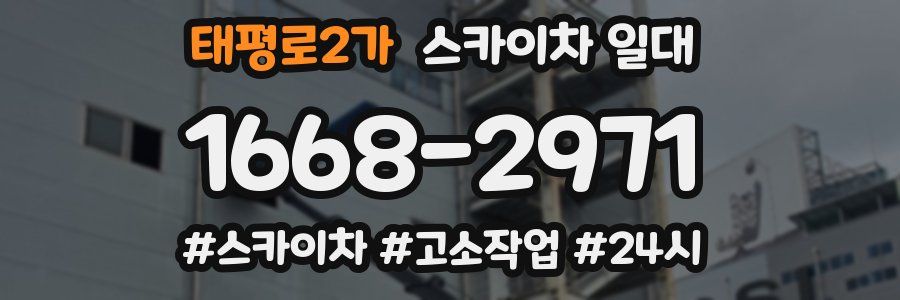 태평로2가 스카이차 일대