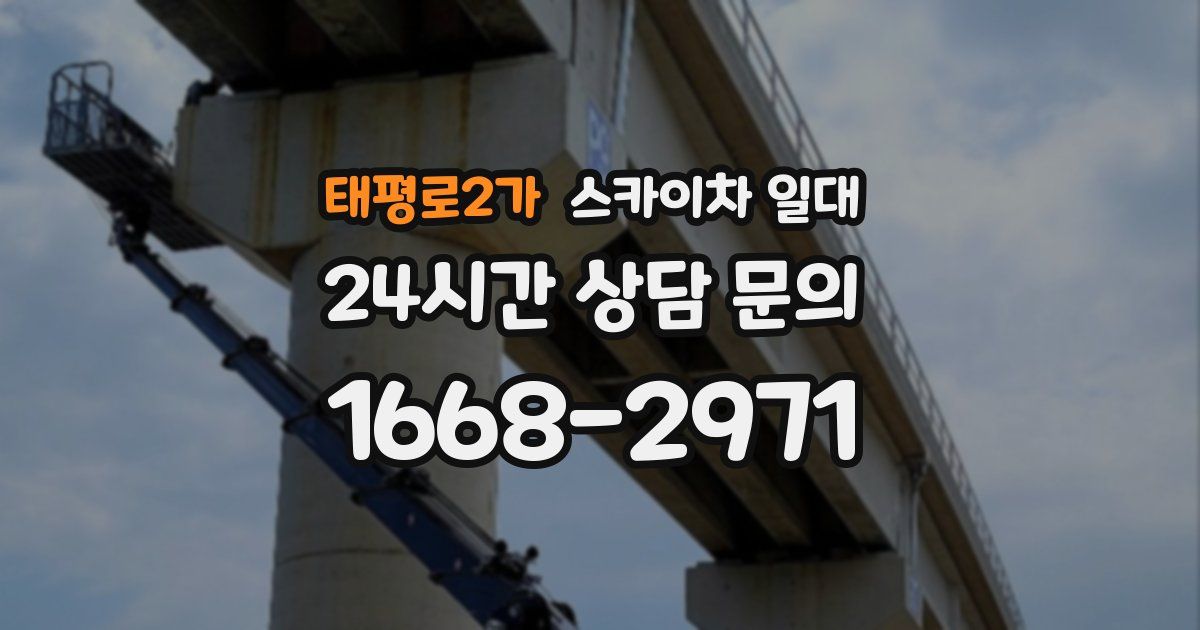 태평로2가 스카이차 일대