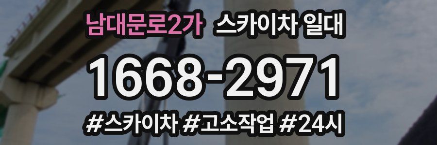 남대문로2가 스카이차 일대
