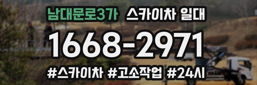 남대문로3가 스카이차 일대