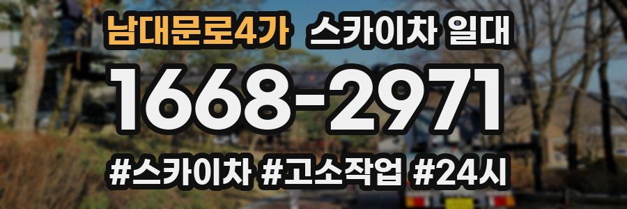 남대문로4가 스카이차 일대
