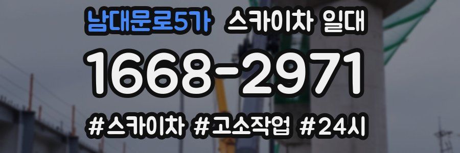 남대문로5가 스카이차 일대