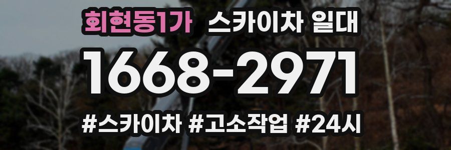 회현동1가 스카이차 일대