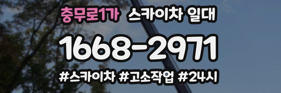 충무로1가 스카이차 일대