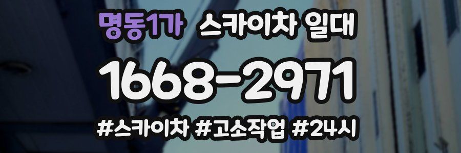 명동1가 스카이차 일대