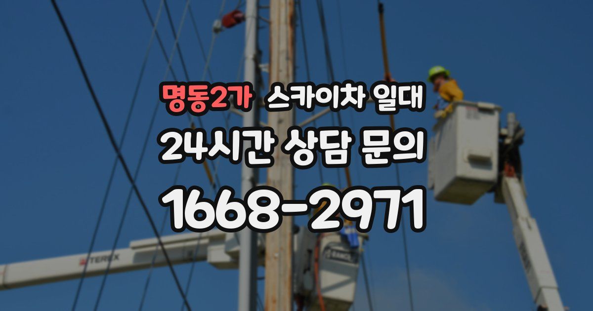 명동2가 스카이차 일대