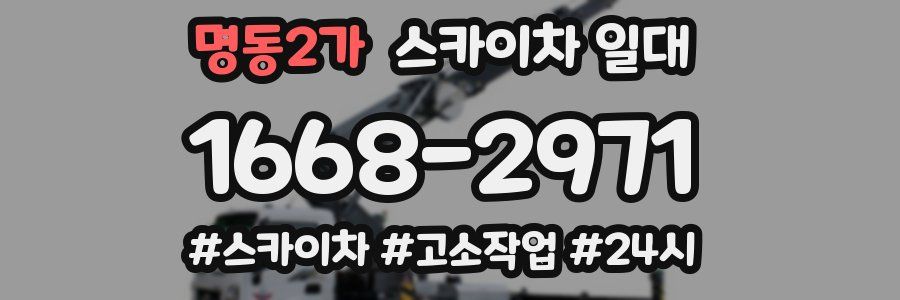 명동2가 스카이차 일대