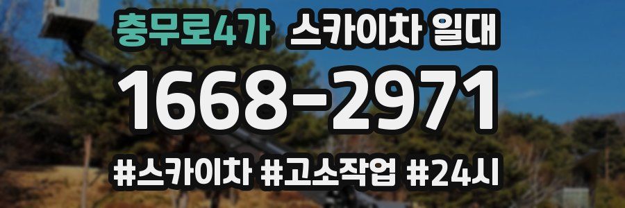 충무로4가 스카이차 일대