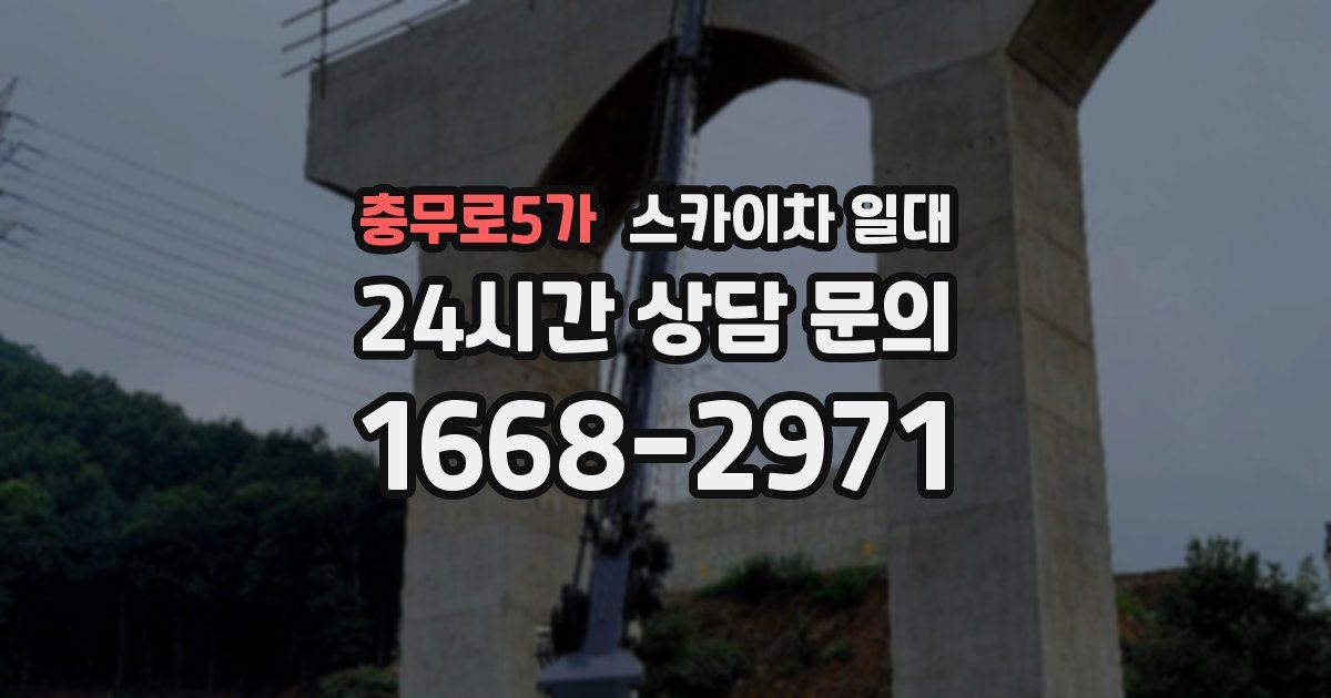 충무로5가 스카이차 일대