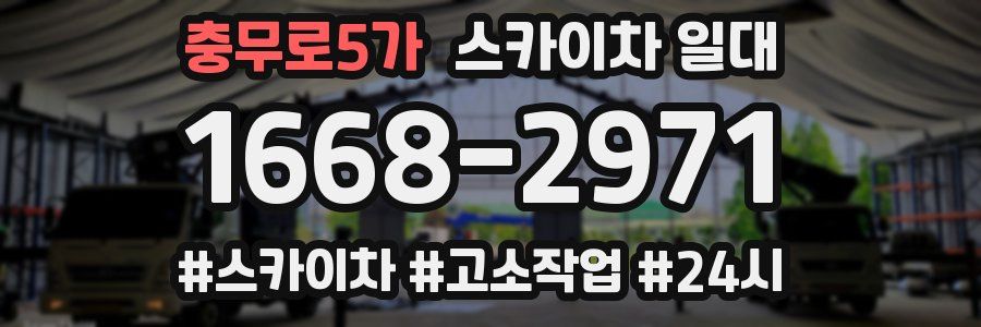 충무로5가 스카이차 일대