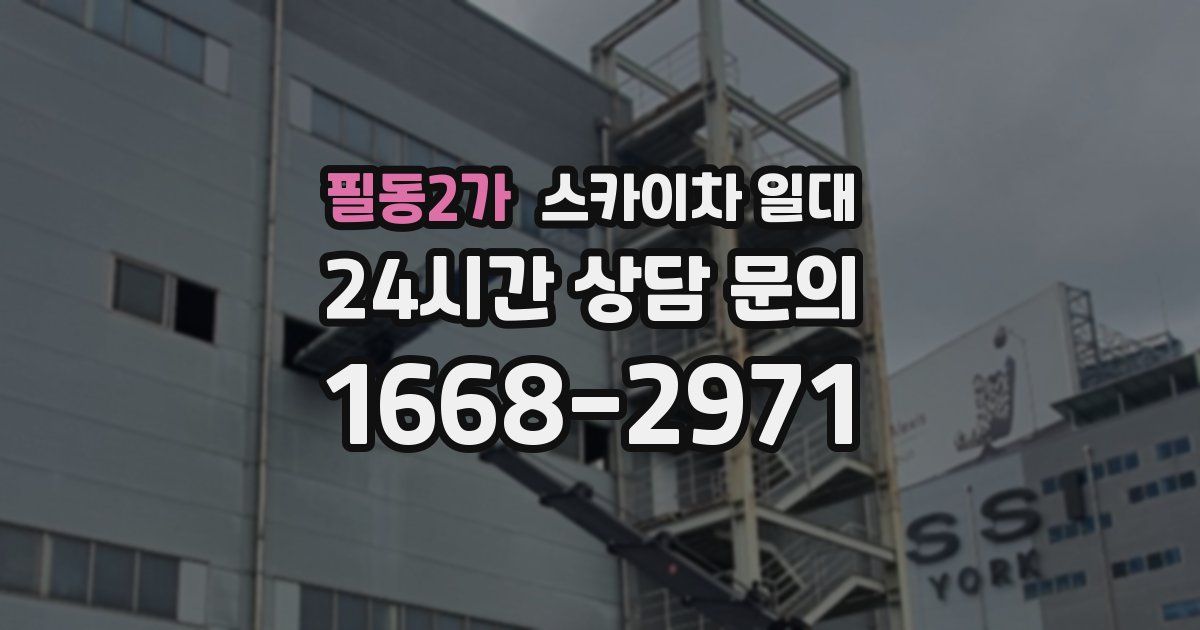 필동2가 스카이차 일대