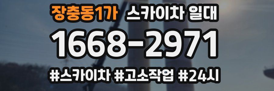 장충동1가 스카이차 일대