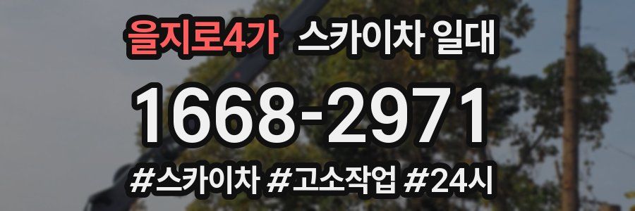 을지로4가 스카이차 일대