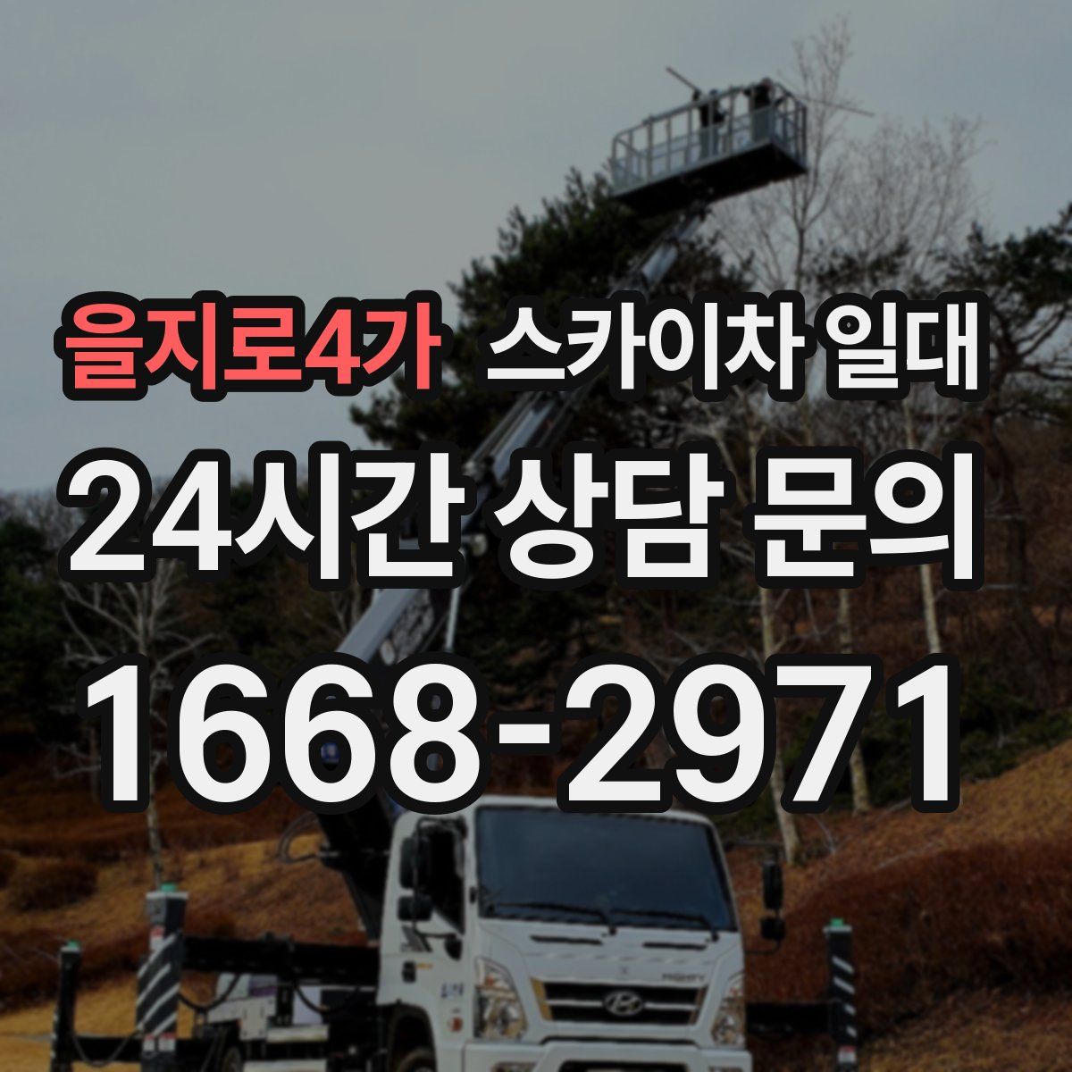 을지로4가 스카이차 일대