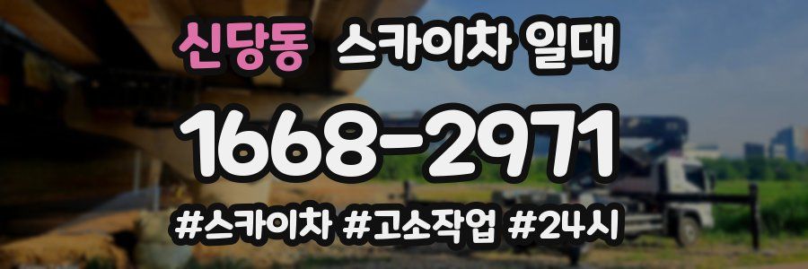 신당동 스카이차 일대