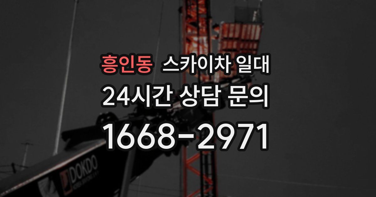 흥인동 스카이차 일대
