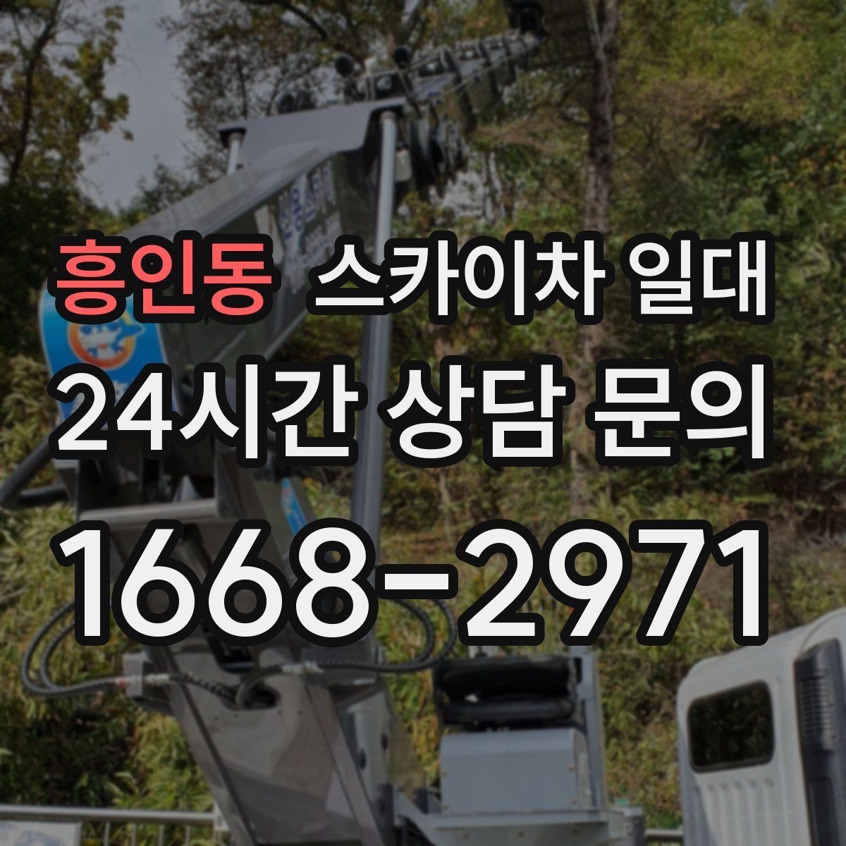 흥인동 스카이차 일대