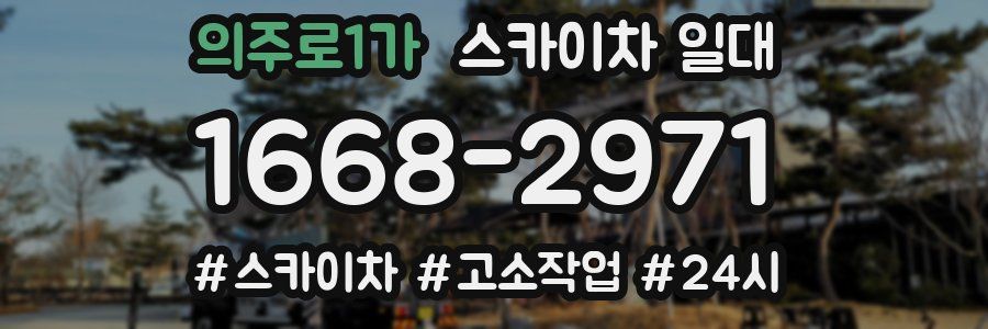 의주로1가 스카이차 일대