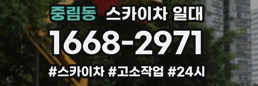 중림동 스카이차 일대