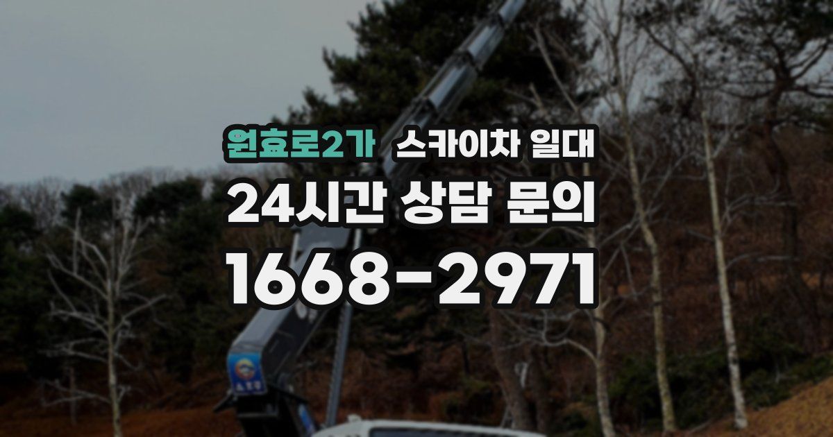 원효로2가 스카이차 일대
