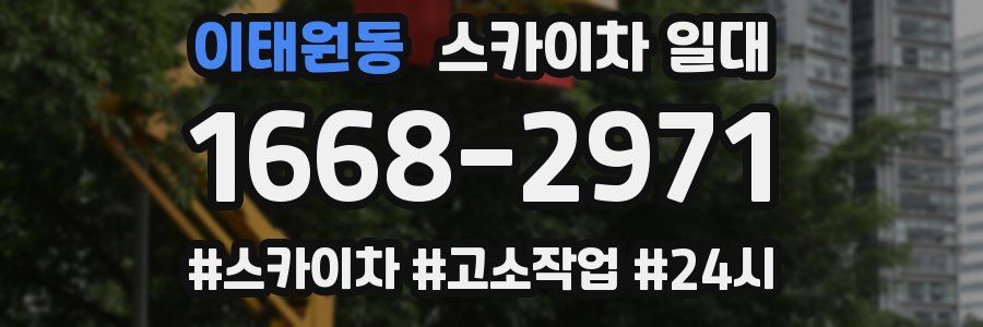 이태원동 스카이차 일대