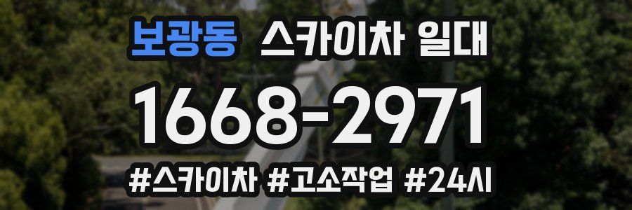 보광동 스카이차 일대