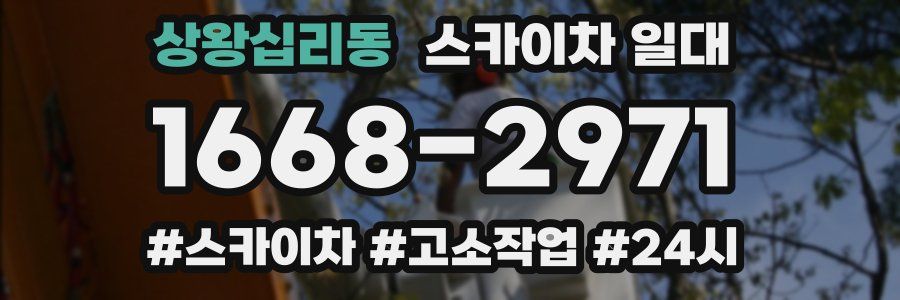 상왕십리동 스카이차 일대