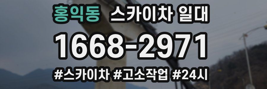 홍익동 스카이차 일대